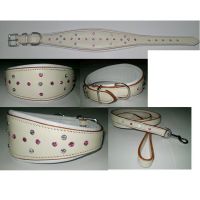 Fashion Leather Dog Collar & Lead