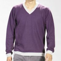 Goyo cashmere sweater - v-neck for men