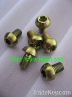 Sell Gr2 DIN7380 titanium bolt