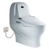 Sell Electronic Toilet TZ8088