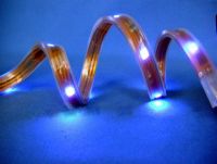 Sell   5050 clear  waterproof flexible   LED strip