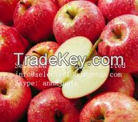 selling apple
