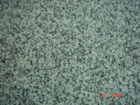 Sell Granite Slab and Tile--G603