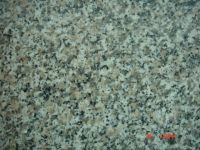 Sell Granite Slab and Tile--G623