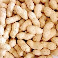 Sell peanut in shell