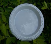 Sell Plastic Takeaway Container (Catering Trays, Plate Holder)