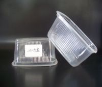 Disposable Plastic Container (Hinged Lid Salad Boxes, Plastic Lid)