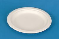 compostable plate(YP09)