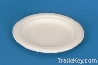 compostable plate YP06