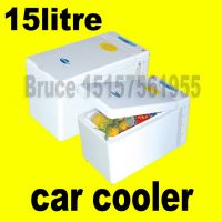 Sell mini cooler(12/15/26/36litre)