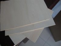 Sell Poplar Plywood