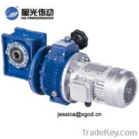 worm gearbox with speed variator