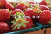 FRESH STRAWBERRIES