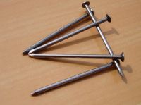 Sell Common Wire Nail