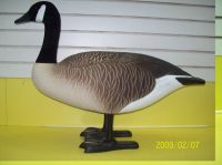 Sell full body canada goose decoy