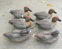 Economy Green wing teal duck hunting decoy floatie with realistic painting schemes from China factory