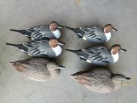 Standard Pintail duck hunting decoy floatie with realistic painting schemes from China factory