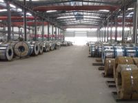 Sell Tinplate Steel Coil for Can Maker