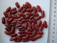 Sell british red kidney beans