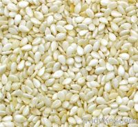 SELL SESAME SEEDS