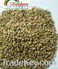 SELL GREEN MILLET