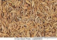 CUMIN SEEDS