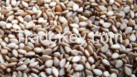 Natural sesame seeds