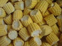 Sell IQF Sweet corn