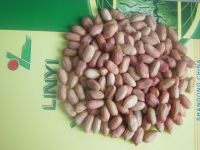 Sell peanut kernels