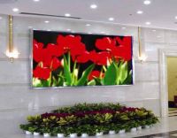 LED indoor bi-color led Display