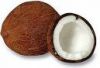 coconut from sri lanka