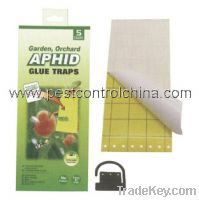 Sell Aphid Glue Trap