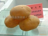 Sell a large number of potatoes