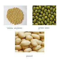 Yellow Soybean / Green Bean / Peanut