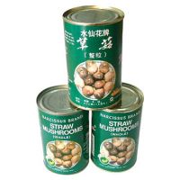 Sell Canned Straw Mushroom