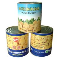 Sell Canned Mushroom Slices