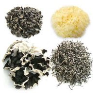 Sell Dried Fungus (Black, White)