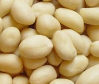 Sell Blanched Peanut / Groundnut in Shell / Kernels