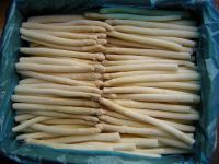 Sell frozen white asparagus