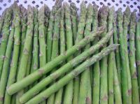Sell frozen green asparagus