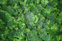 Sell frozen broccoli florets