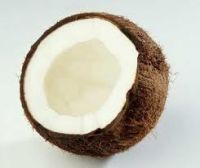 Supply coconuts with good quality in any time