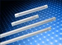 Sell T8 Fluorescent Light 