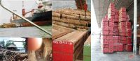 Sell Tropical Sawn timber, Logs, Doors, Charcoal