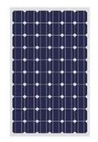 150w solar module