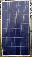 260w Polycrystalline Solar Module