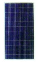 Sell 160 watt Polycrystalline Solar Panel