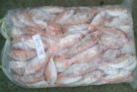 Sell frozen threadfin bream