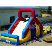 Sell  excellent inflatable toys