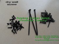 Sell Dry Wall Screw